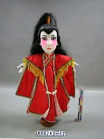 藏品(小生(植髮))的圖片